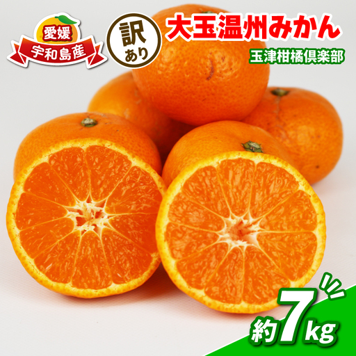 訳あり 大玉 みかん 7kg 温州みかん 先行予約 玉津柑橘倶楽部 温州 蜜柑 大玉みかん 甘い 果物 くだもの フルーツ 柑橘 mikan 愛媛蜜柑 愛媛みかん 愛媛ミカン ミカン わけあり サイズ 不揃い 産地直送 数量限定 国産 愛媛 宇和島 B005-072054