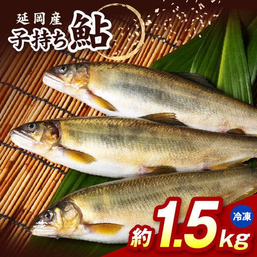 [冷凍]子持ち鮎約1.5kg N070-YB1106-2
