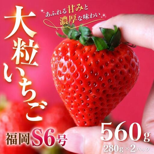 いちご[2027年発送]福岡S6号 2パック×280g 完熟いちご