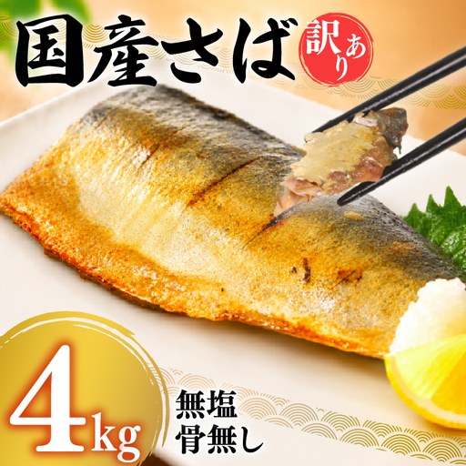 さば フィーレ 4kg 訳あり 国産さば NV