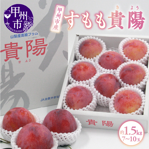 甲州市産 すもも『貴陽』約1.5kg（化粧箱中玉7～10玉）【2027年発送】（APX）B12-195 すもも フルーツ