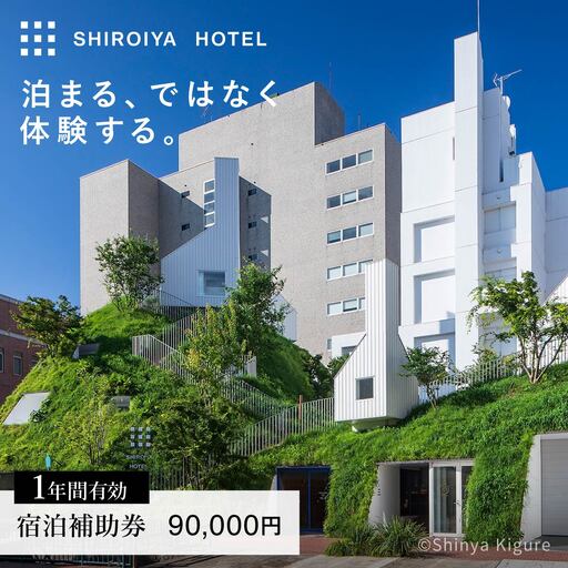 宿泊補助券 白井屋ホテル 9万円分 宿泊