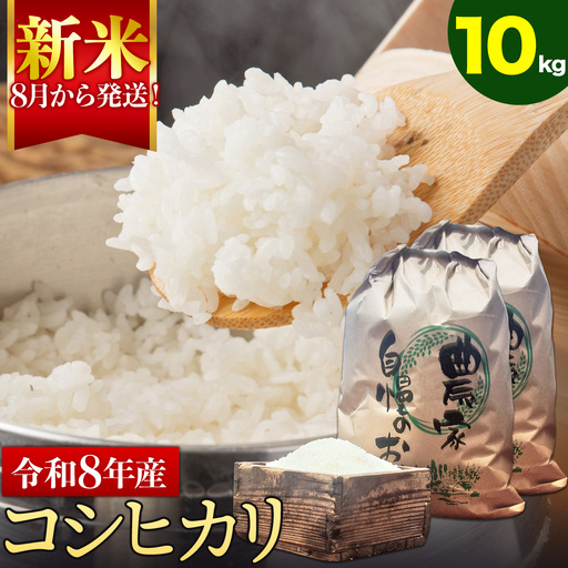 新米 令和8年産 コシヒカリ 10kg 米