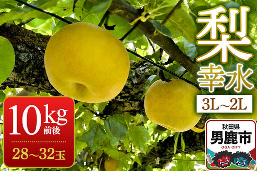 《先行受付》梨 幸水 10kg前後（3L～2L）28～32玉 秋田なまはげ農業協同組合 秋田県 男鹿市