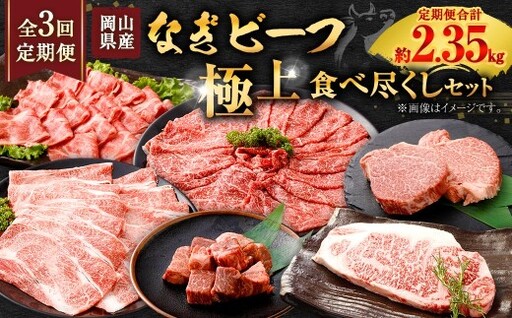 [ 全3回定期便 ] 岡山県産 なぎビーフ 極上食べ尽くし セット お肉 肉 おにく にく 牛肉 ぎゅうにく 国産 ブランド牛 詰め合わせ シャトーブリアン ステーキ ロース 焼肉 すきやき しゃぶしゃぶ