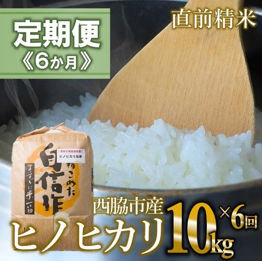 【定期便 6か月 ヒノヒカリ】白米10kg（6か月連続お届け）2025年産 米 お米 米10㎏ お米10㎏ 兵庫県産 ひのひかり