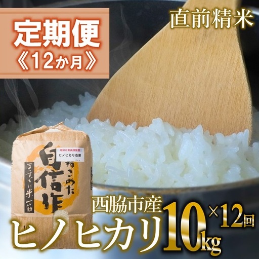 【定期便 12か月 ヒノヒカリ】白米10kg（12か月連続お届け）2025年産　米 お米 米10㎏ お米10㎏ 兵庫県産 ひのひかり