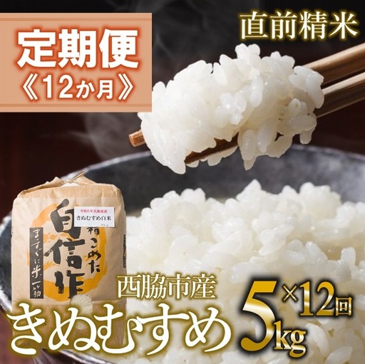 【定期便 12か月 きぬむすめ】白米5kg（12か月連続お届け）新米 2025年産 米 お米 米5㎏ お米5㎏ 兵庫県産 きぬむすめ