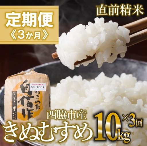 【定期便 3か月 きぬむすめ】白米10kg（3か月連続お届け）新米 2025年産　米 お米 米10㎏ お米10㎏ 兵庫県産 きぬむすめ