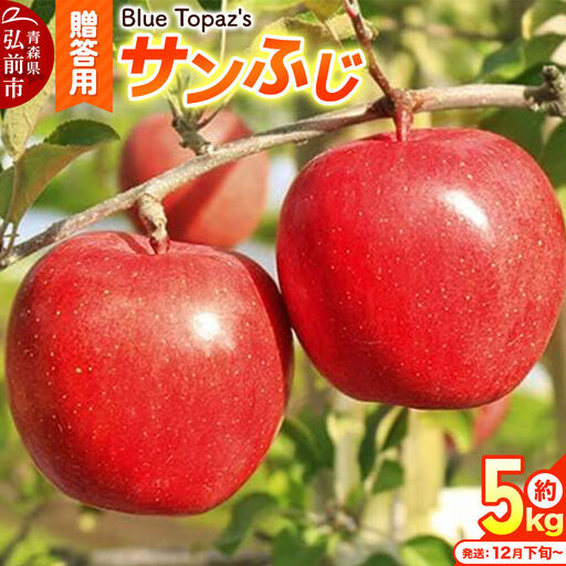 【26年12月下旬～発送】りんご サンふじ【贈答用】約5kg 内のし付き 青森県 弘前市