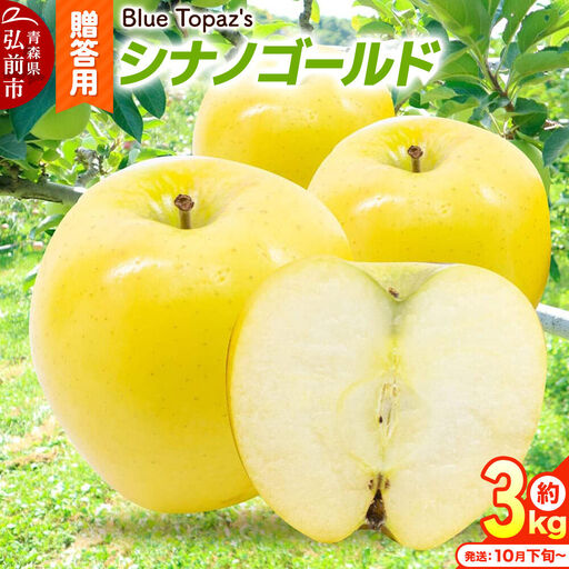 【26年10月下旬～発送】りんご シナノゴールド【贈答用】約3kg 内のし付き 青森県 弘前市