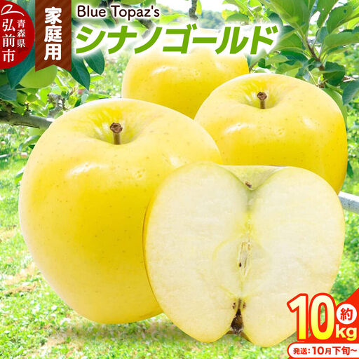 【26年10月下旬～発送】りんご シナノゴールド【家庭用】約10kg 青森県 弘前市
