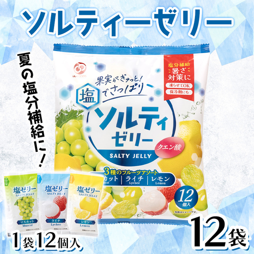 熱中症対策 ソルティーゼリー (18g×12個入)×12袋 熱中症 塩分補給 F21E-561