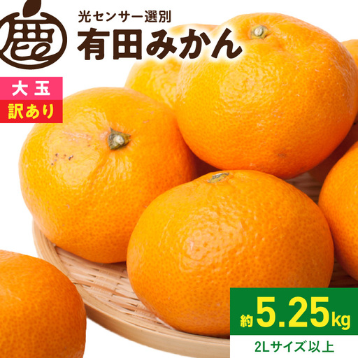 【2026年先行予約】家庭用 大きな有田みかん約5kg+250g（傷み補償分）【わけあり・訳あり】【光センサー選果】_ZH7117