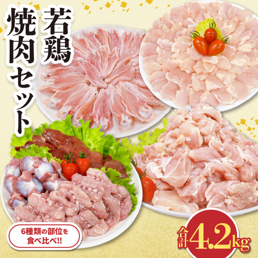 若鶏 焼肉 セット 合計4.2kg 鶏肉 国産 チキン_DA62-26