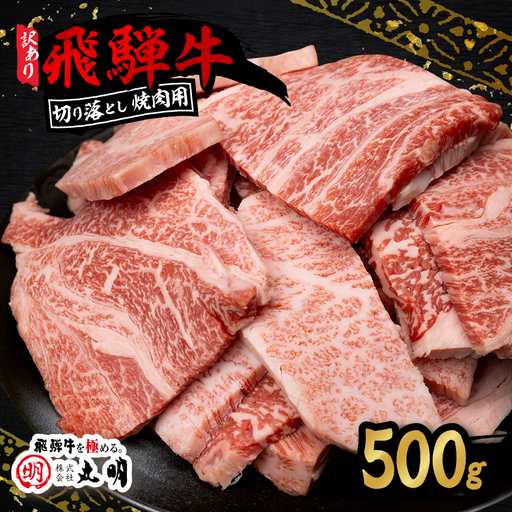 【訳あり】飛騨牛 焼肉　切り落とし 500g【配送不可地域：離島】【1749003】
