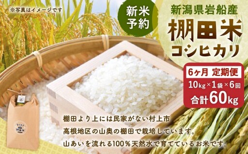 【新米予約・令和8年産米】【定期便：6ヶ月連続でお届け】新潟県村上市岩船産 棚田米コシヒカリ 10kg×6ヶ月　1011006N