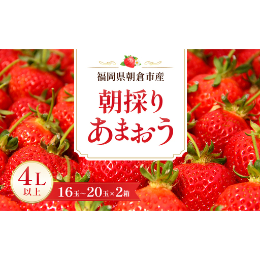 いちご 朝倉市産 あまおう 4L以上 16玉～20玉×2箱 いちご イチゴ