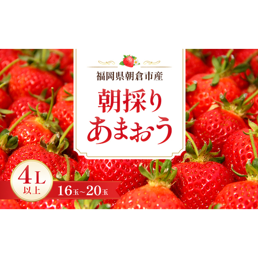 いちご 朝倉市産 あまおう 4L以上 16玉～20玉 いちご