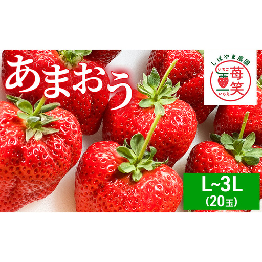 いちご 朝倉市産 あまおう L～3L 20玉 イチゴ 苺 果物 デザート ※配送不可：離島