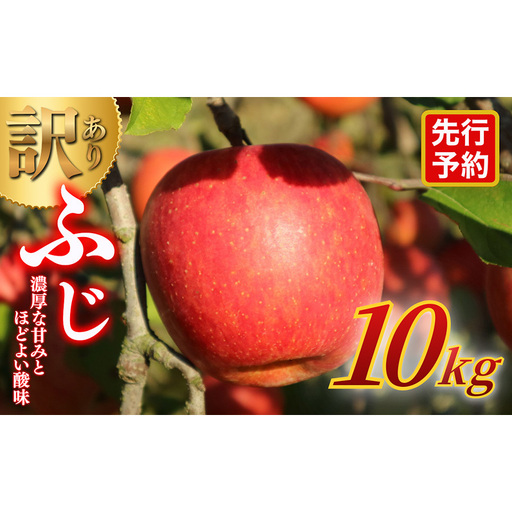 [★先行予約][訳あり]長野県産りんご(サンふじ)10kg 家庭用 見た目にワケあり 味はそのまま 林檎 果物 旬のフルーツ 長野県 上田 信州