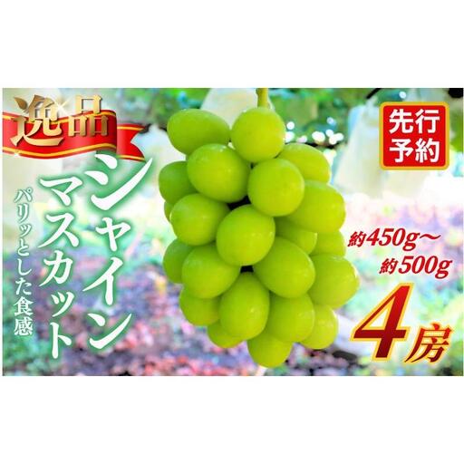 [★先行予約][逸品]長野県産シャインマスカット 約450〜500g×4房 贈答品対応可 果物 旬のフルーツ 長野県 上田 信州