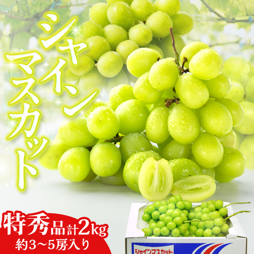 シャインマスカット 特秀品 ザ・クラス 2kg 詰め合わせ 大粒 3～5房 新品種 皮ごと フルーツ 旬 香川県 四国  マスカット ぶどう ブドウ 葡萄 デザート 果物 くだもの 果実 食品 FAH-0195