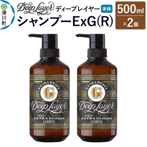 DeepLayer ディープレイヤー シャンプー ExG (R) 500mL×2個