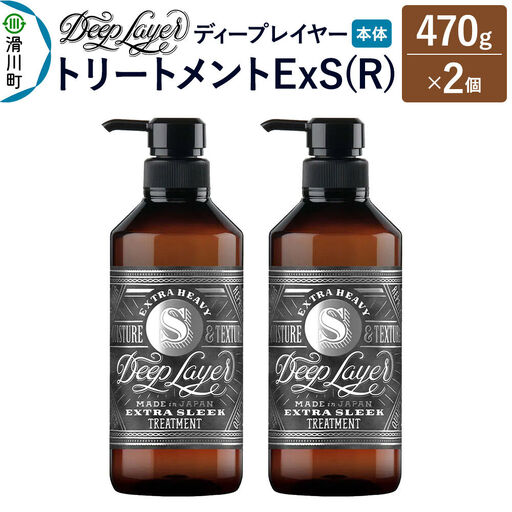 DeepLayer ディープレイヤー トリートメント ExS (R) 470g×2個