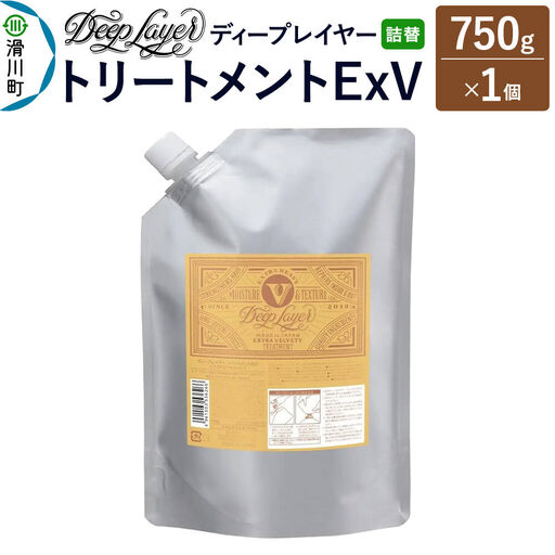 DeepLayer ディープレイヤー トリートメント ExV [詰替] 750g×1個