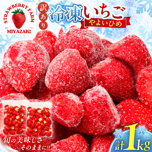 ≪訳あり≫都農町産「冷凍いちご(やよいひめ)」計1kg フルーツ 果物 デザート イチゴ 国産