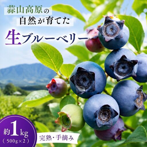 【先行予約】生ブルーベリー 約1kg(500g×2) フルーツ 果物 ベリー 【kbkb001-01】