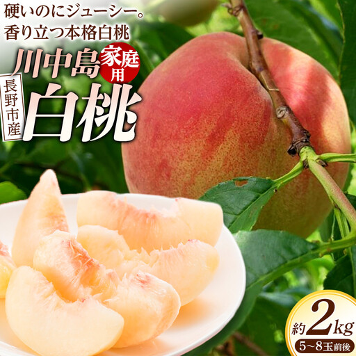 [※2027年8月発送分 先行受付]長野市生まれ 奇跡の川中島白桃2kg 家庭用 信州ハピネスフルーツ | 桃 もも