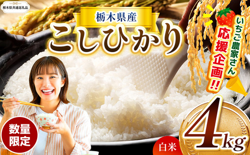 先行予約 令和8年度産 栃木県産 コシヒカリ 4kg |【栃木県共通返礼品】