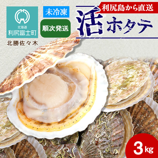 活ホタテ3kg！~2026年順次発送~北海道利尻島から直送！【北勝佐々木】