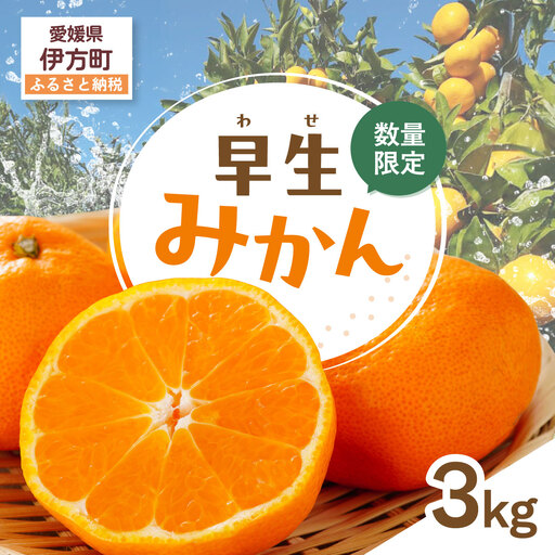 [先行受付][数量限定]早生みかん(生果)3kg(2026年11月上旬より順次発送)I