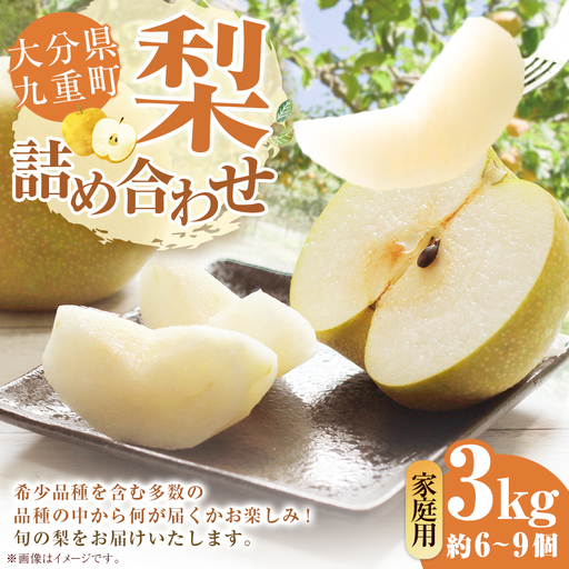 【 ご家庭用 】 九重町産 梨 詰め合わせ 約3kg （ 約6～9個 ） なし ナシ フルーツ 果物 くだもの 果実 旬 おやつ デザート スイーツ 国産 家庭用 詰合せ 【 2026年8月上旬～10月下旬まで順次発送予定 】 