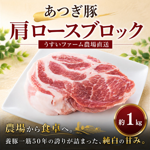 豚肩ロース ブロック 1kg 豚肉 あつぎ豚 肩ロースブロック かながわの名産100選 ブランド豚 名産 神奈川県 特産品 No.870