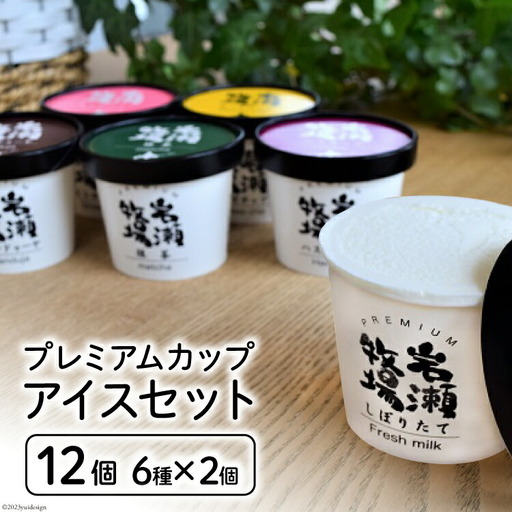 プレミアムカップアイス12個セット
