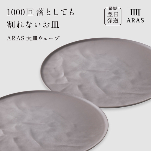 ARAS 大皿ウェーブ 2枚セット【カラー：ピンクグレー2枚】27cm 大皿 プレート 割れない 保証付き ARAS エイラス 色が選べる 皿 食器 うつわ 贈り物 ギフト 3万円 30000円 F6P-2603