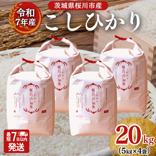 ＼スピード出荷／ 令和7年産 茨城県 桜川市産 こしひかり20kg（5kg×4袋） スピード 最短 7日 すぐ届く すぐ発送 スピード発送 早い [SC066sa-sp]