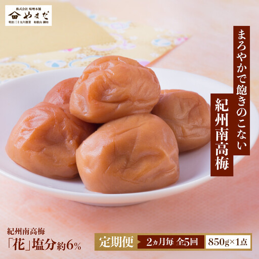 【定期便・2ヵ月毎 全5回】紀州南高梅 「花」 850g ［YM8］