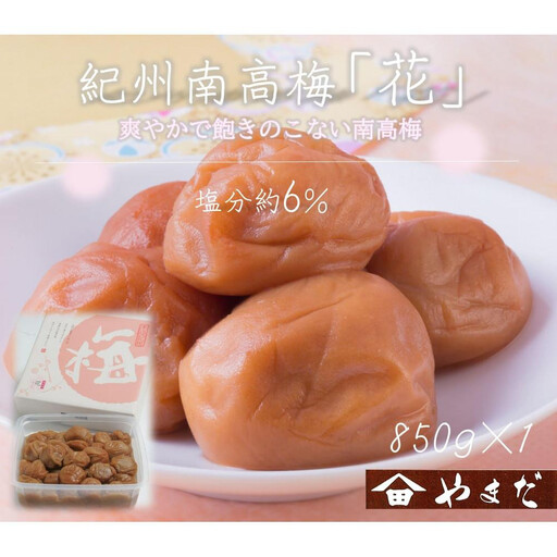 【定期便・2ヵ月毎 全5回】紀州南高梅 「花」 850g ［YM8w］