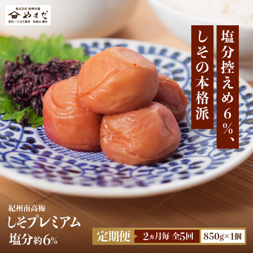 【定期便・2ヵ月毎 全5回】紀州南高梅 しそプレミアム 850g ［YM14w］