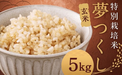 【玄米】 夢つくし （特別栽培米） 約5kg 福岡県産 令和8年産 玄米 米 こめ コメ