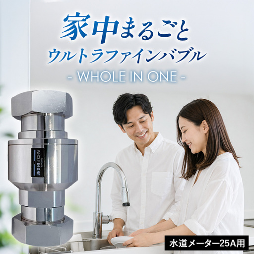 ウルトラファインバブル 水道メーター25A用 （本体のみ） WHOLE IN ONE TFB30-N2 ／ 家中ファインバブル バイオフィルム対策 水回り 洗浄 保湿 保温 節水 節約 キッチン シンク 浴室 洗面所 トイレ 洗濯機 毛穴ケア 美容 リラックス シャンプー 洗剤 泡立ち 泡切れ 掃除 排水溝掃除 ウルトラファインバブル水 兵庫県 No.489