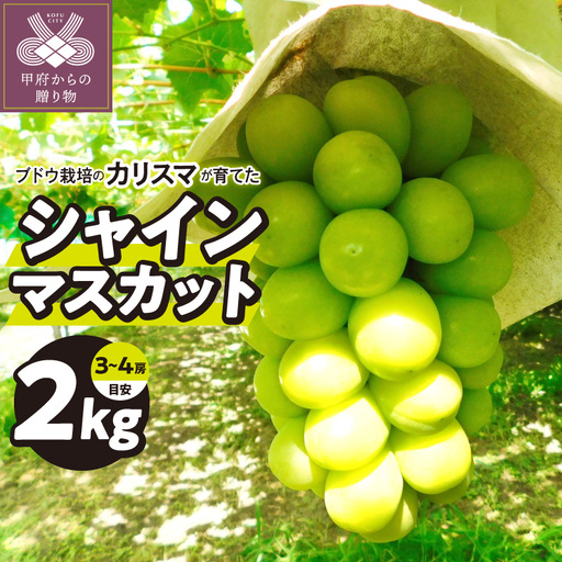 [2026年度配送分][2026年8月下旬〜9月上旬発送]甲府市産(池川総合ブドウ園)のシャインマスカット2kg相当(目安3〜4房)K07024-B