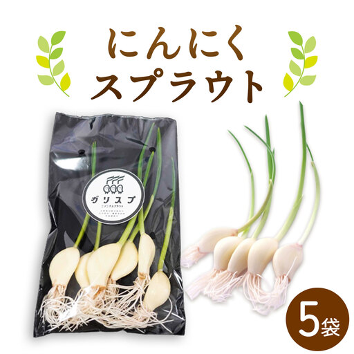 にんにくスプラウト 5袋 株式会社ANELA GROW