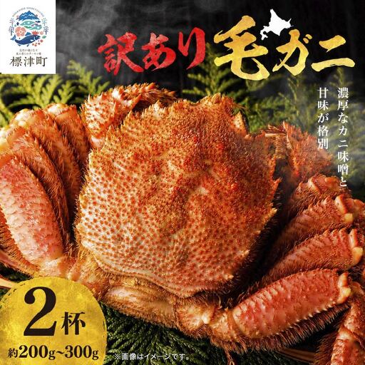 【スピード発送】 訳アリ 毛ガニ 200g~300g×2杯 毛ガニ 【AF】