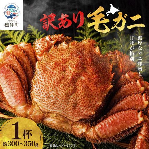 訳アリ 毛ガニ 300g~350g×1杯 毛ガニ [AF]